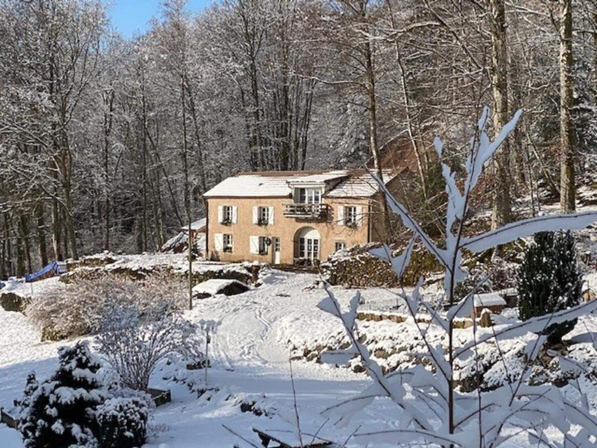 Gite Du Bois Des Hauts Les Mille Etangs La Lanterne-et-les-Armonts Exterior photo