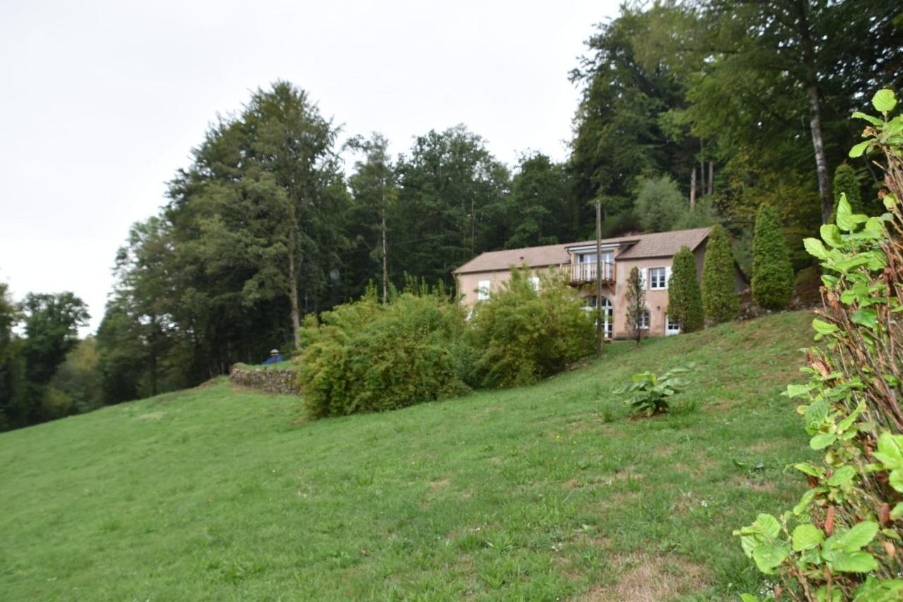 Gite Du Bois Des Hauts Les Mille Etangs La Lanterne-et-les-Armonts Exterior photo
